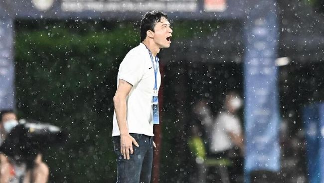 林茵是什么小说