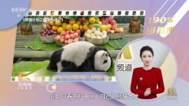 亚洲婷婷网